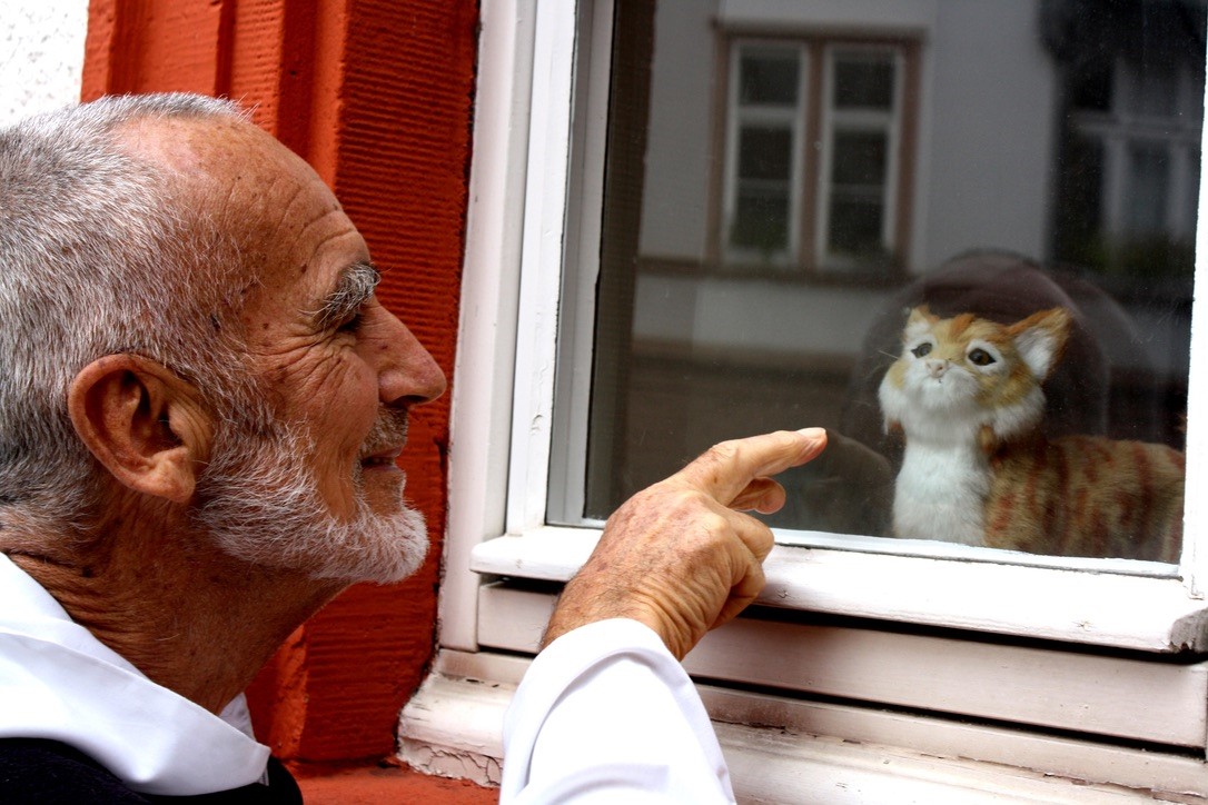 Der Benediktinermönch Bruder David Steindl-Rast zeigt auf eine Kuscheltier-Katze hinter einer Glasscheibe.